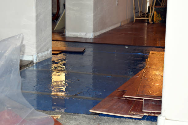 Professional Basement Flood Cleanup technician working in Central Islip, NY